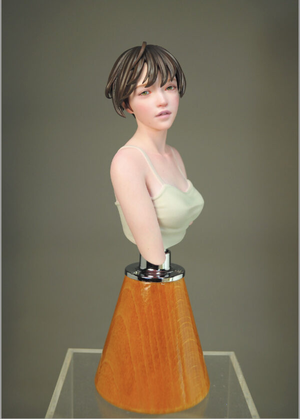 Hiroshi Tagawa PYGMALION Female Figure Works Collection - Image 10