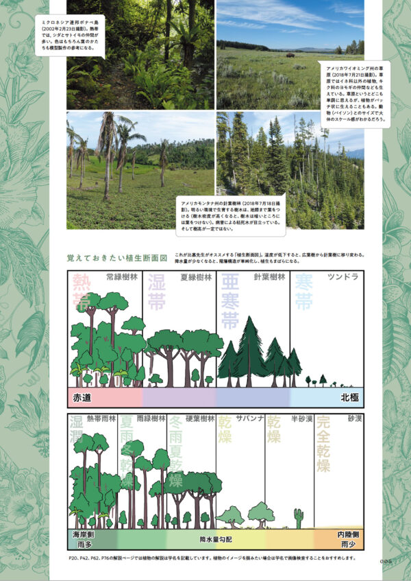 Tank Scene Plant Reproduction Manual - Image 5