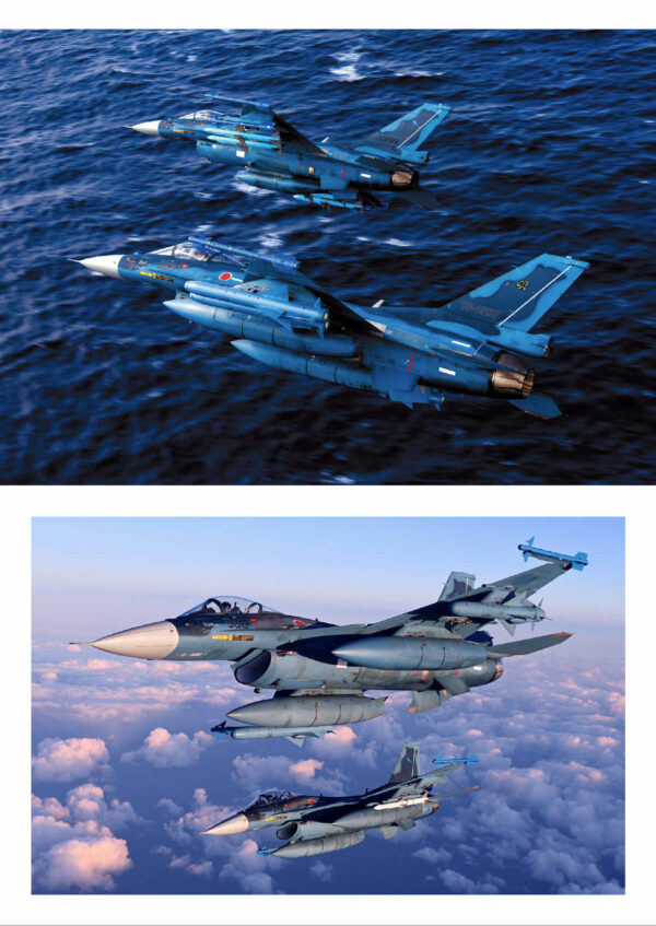 Wings of Defence - Image 4