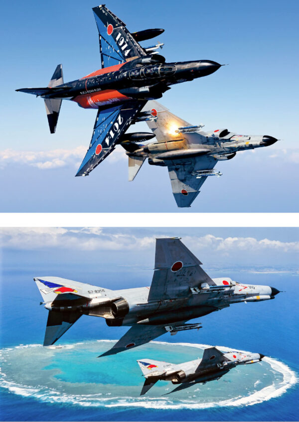 Wings of Defence - Image 7
