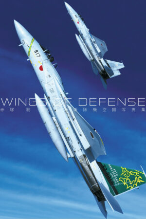 Wings of Defence