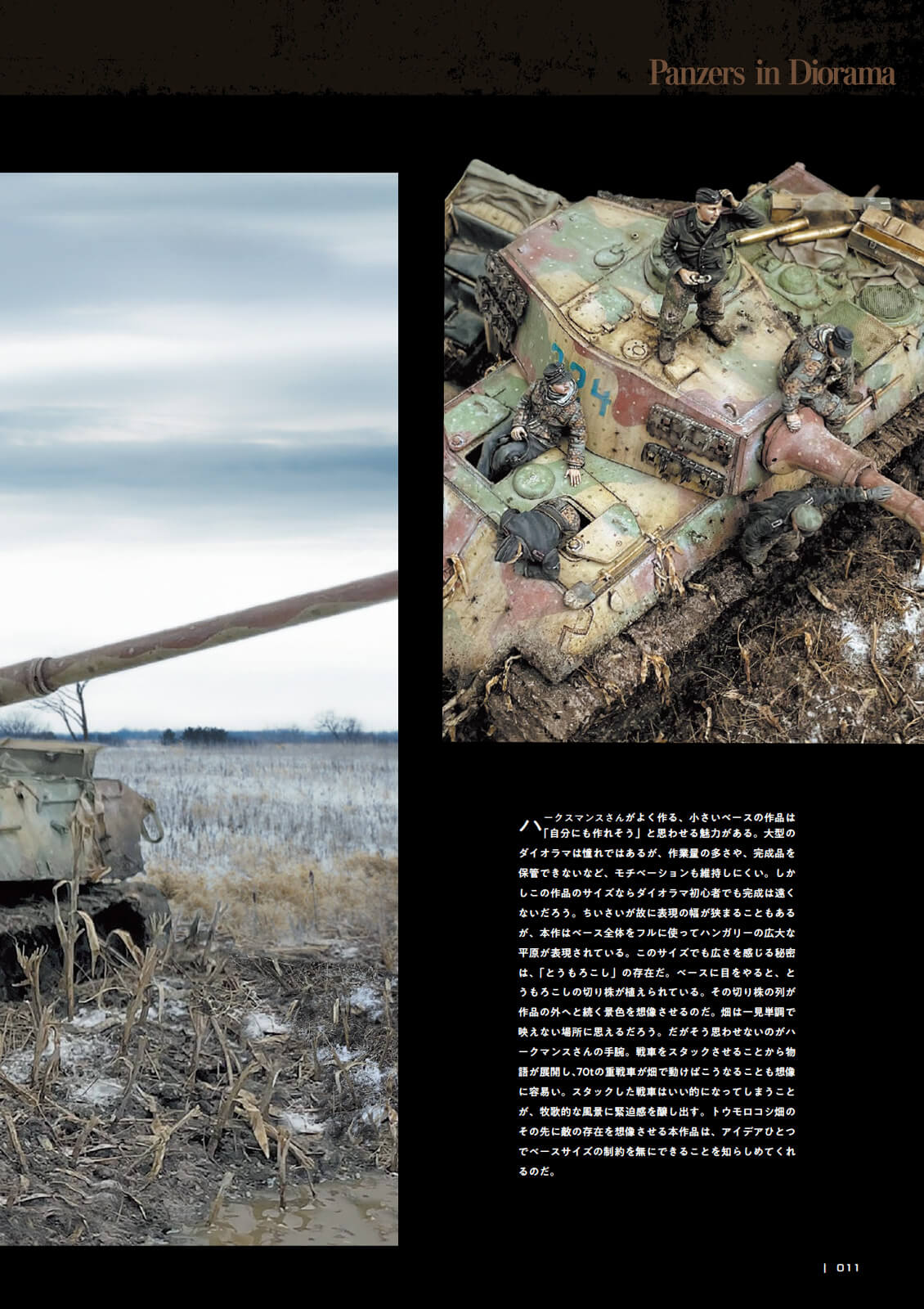 Panzers in Diorama - Image 12