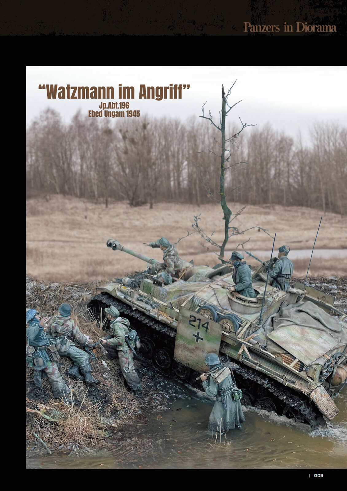 Panzers in Diorama - Image 10